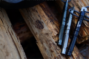 How to Treat Untreated Wood for Outdoor Use?